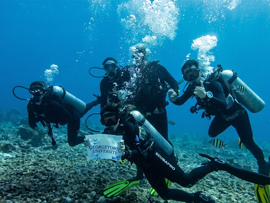 People diving underwater holding a Georgetown sign