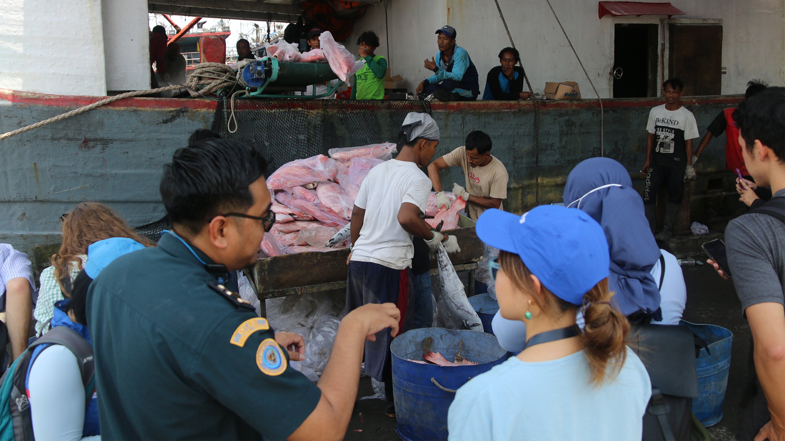 Workers unloading and sorting piles of fresh fish from a boat at a busy dock